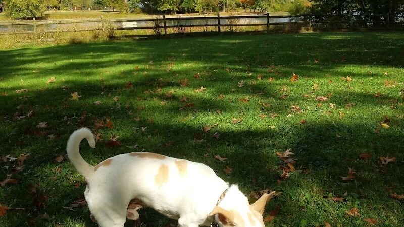 Cooperation Station Dog Park - Cortland, OH