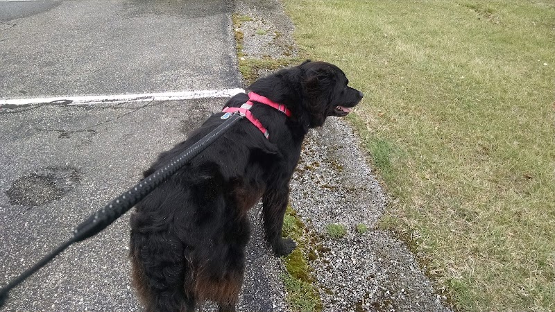 Cooperation Station Dog Park - Cortland, OH