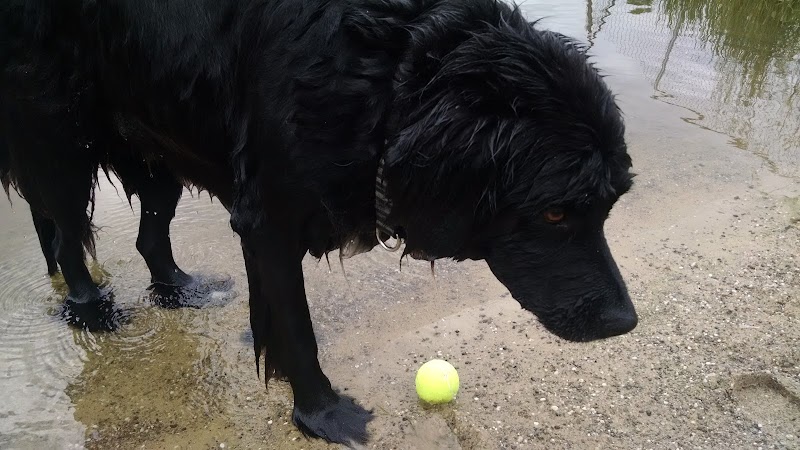 Cooperation Station Dog Park - Cortland, OH