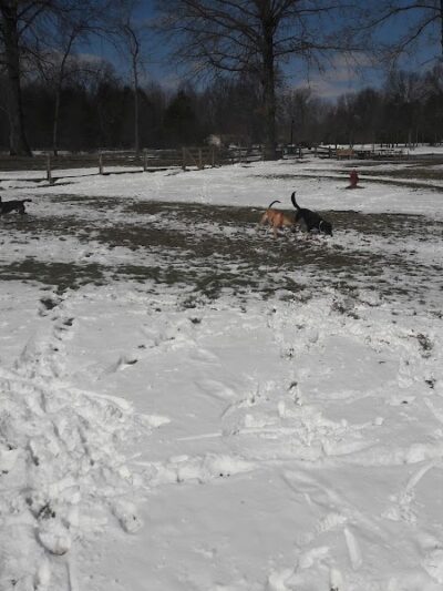 Cooperation Station Dog Park - Cortland, OH