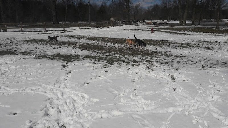 Cooperation Station Dog Park - Cortland, OH