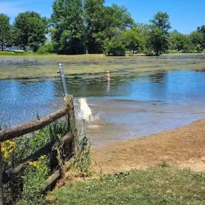 Mosquito Creek Lake - Cortland, OH