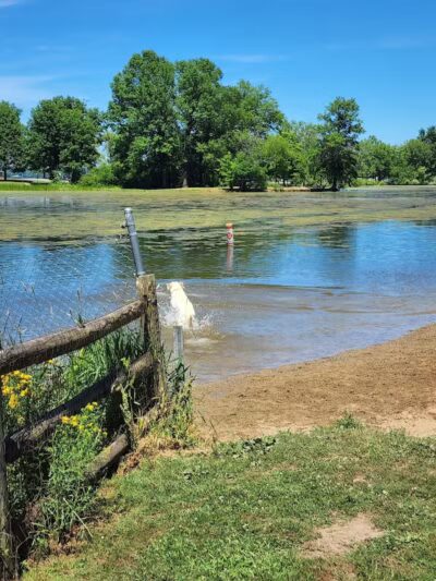 Mosquito Creek Lake - Cortland, OH