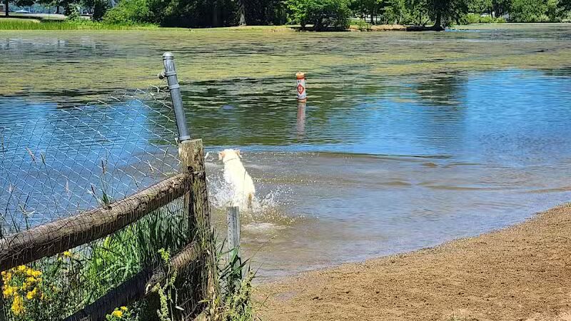 Mosquito Creek Lake - Cortland, OH