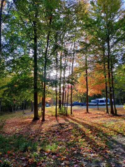 Mosquito Creek Lake - Cortland, OH