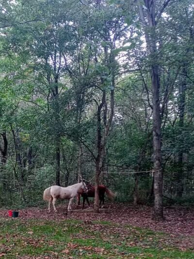 AEP Conesville Fallon Park - Coshocton, OH