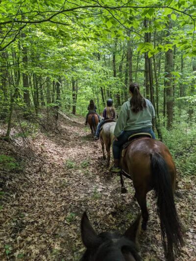 AEP Conesville Fallon Park - Coshocton, OH