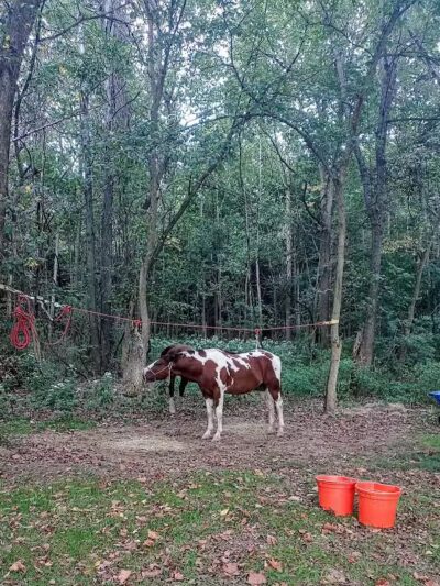 AEP Conesville Fallon Park - Coshocton, OH