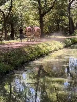 Coshocton City & County Park District - Coshocton, OH