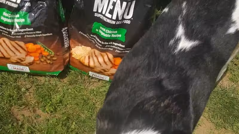 Coshocton County Animal Shelter & HATA - Coshocton, OH