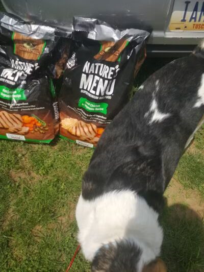 Coshocton County Animal Shelter & HATA - Coshocton, OH