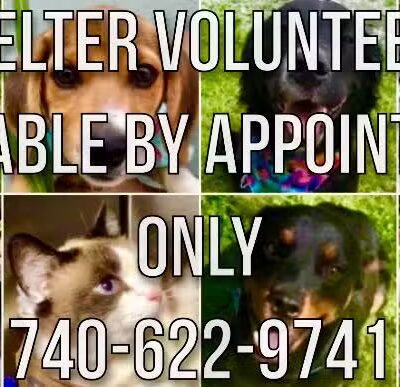 Coshocton County Animal Shelter & HATA - Coshocton, OH