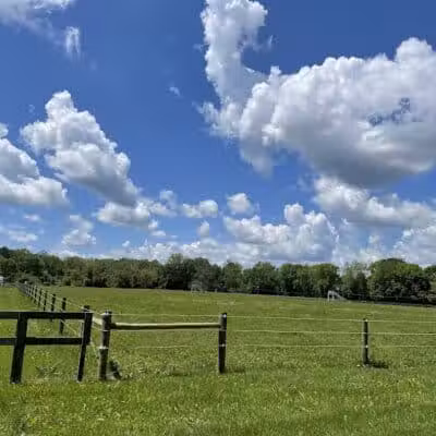 Coshocton Lake Park - Coshocton, OH