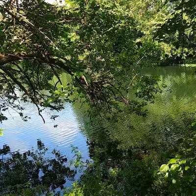 Coshocton Lake Park Complex - Coshocton, OH