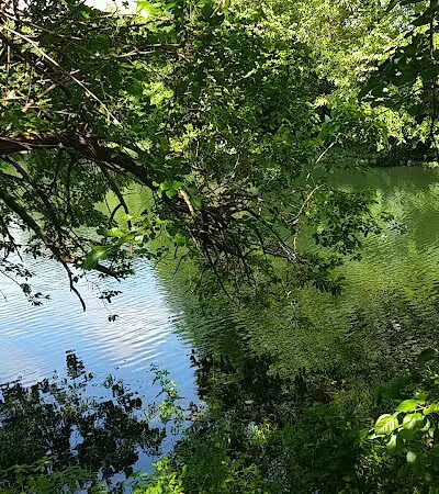 Coshocton Lake Park Complex - Coshocton, OH