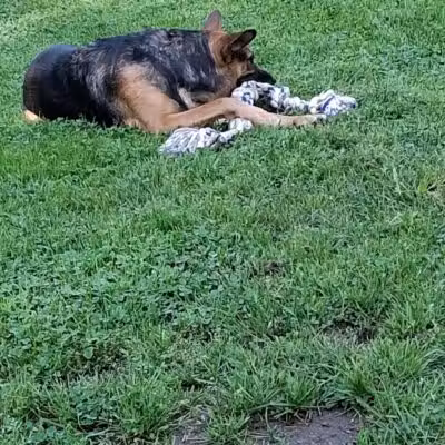 Coshocton Recreation Department - Coshocton, OH