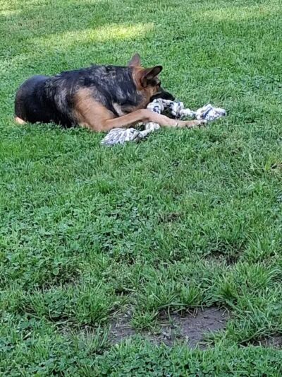 Coshocton Recreation Department - Coshocton, OH