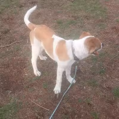 Coshocton Recreation Department - Coshocton, OH