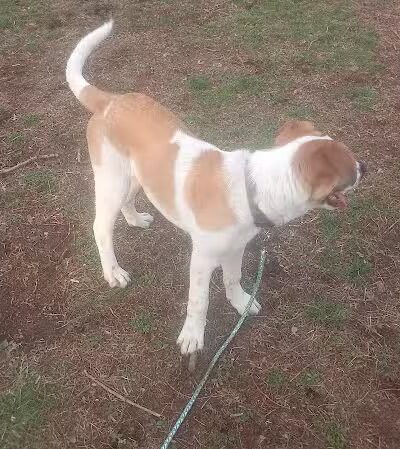 Coshocton Recreation Department - Coshocton, OH