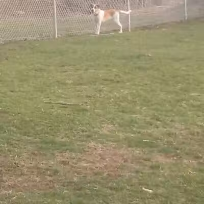 Coshocton Recreation Department - Coshocton, OH