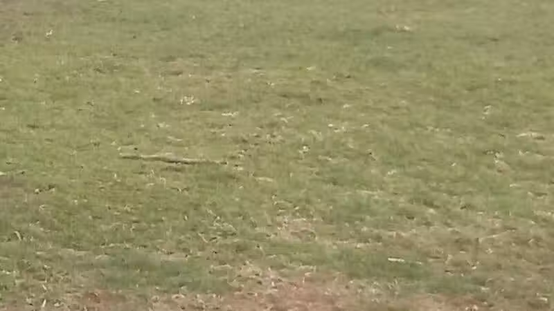 Coshocton Recreation Department - Coshocton, OH