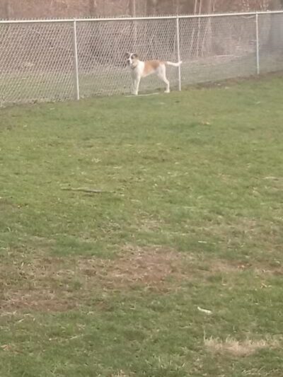 Coshocton Recreation Department - Coshocton, OH