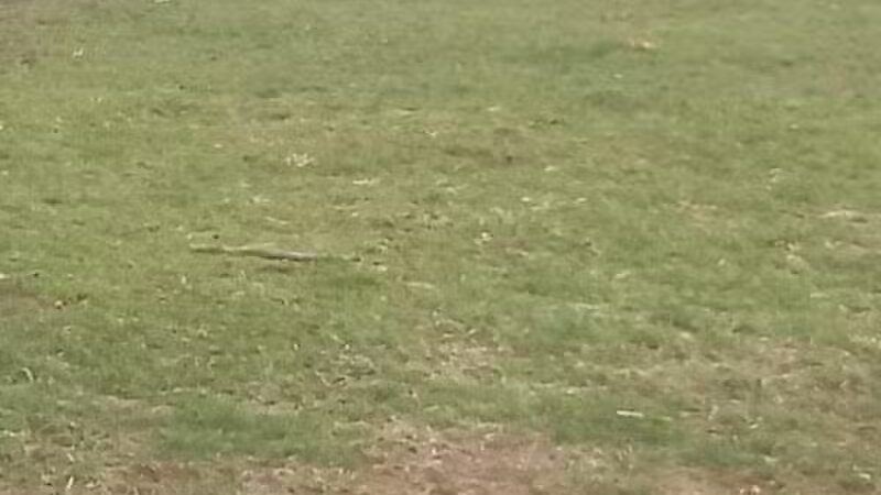 Coshocton Recreation Department - Coshocton, OH