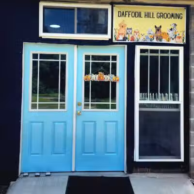 Daffodil Hill Grooming - Coshocton, OH