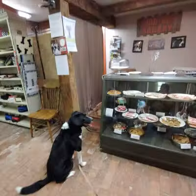 Good Boy Bakery - Coshocton, OH