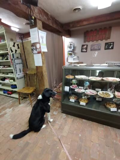 Good Boy Bakery - Coshocton, OH