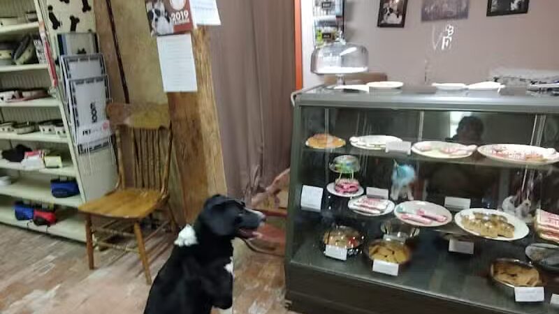 Good Boy Bakery - Coshocton, OH