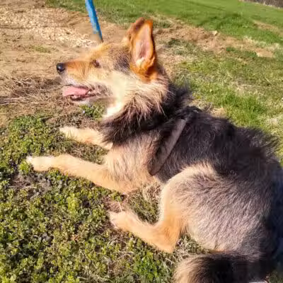 Hall Park - Coshocton, OH