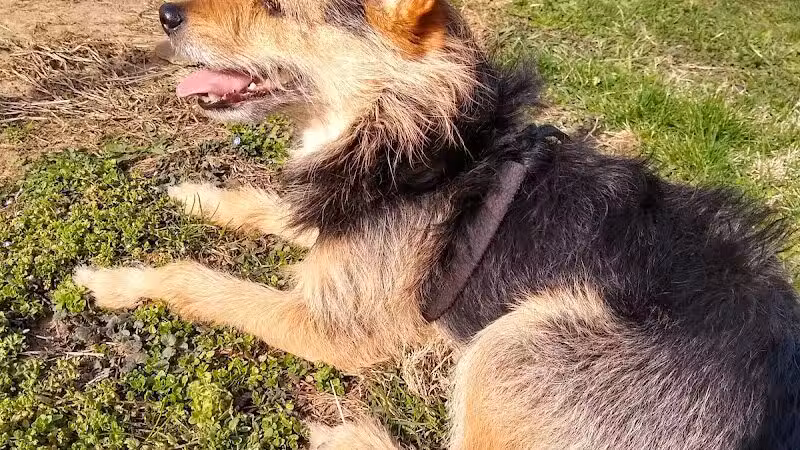 Hall Park - Coshocton, OH