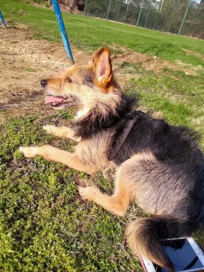 Hall Park - Coshocton, OH