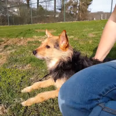 Hall Park - Coshocton, OH