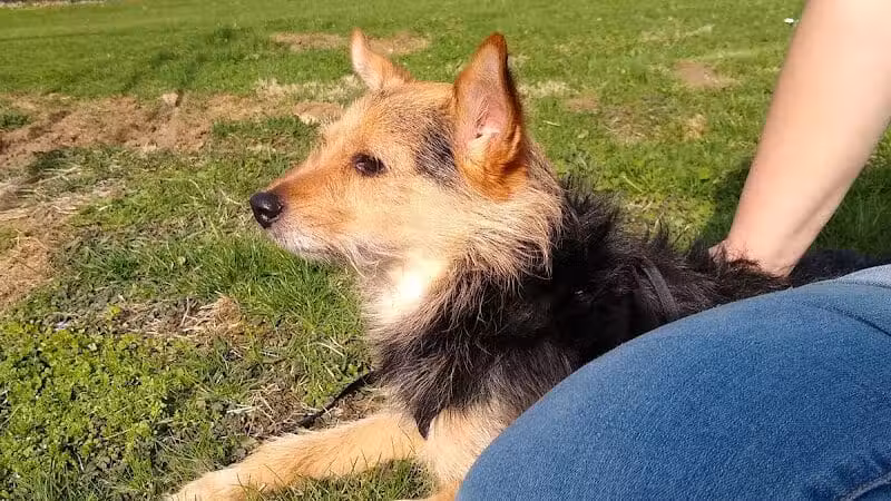 Hall Park - Coshocton, OH