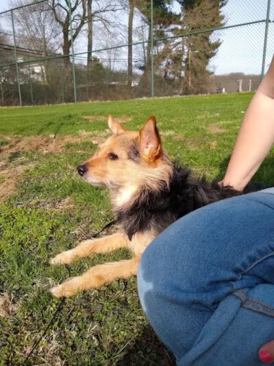 Hall Park - Coshocton, OH