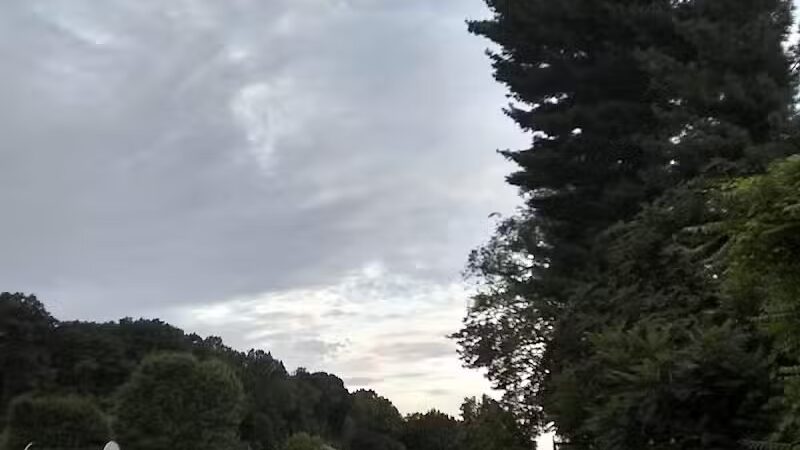 Hall Park - Coshocton, OH
