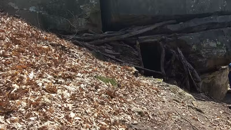 Lake Park Campground - Coshocton, OH