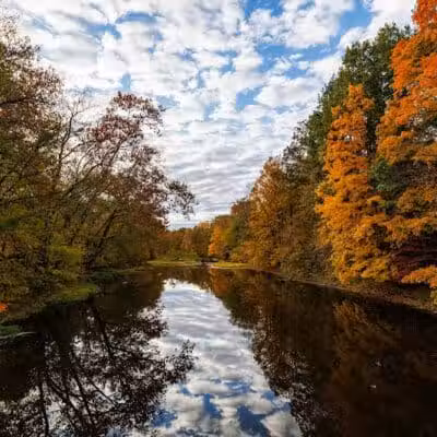 Maple Ridge Reserve - Covington, OH