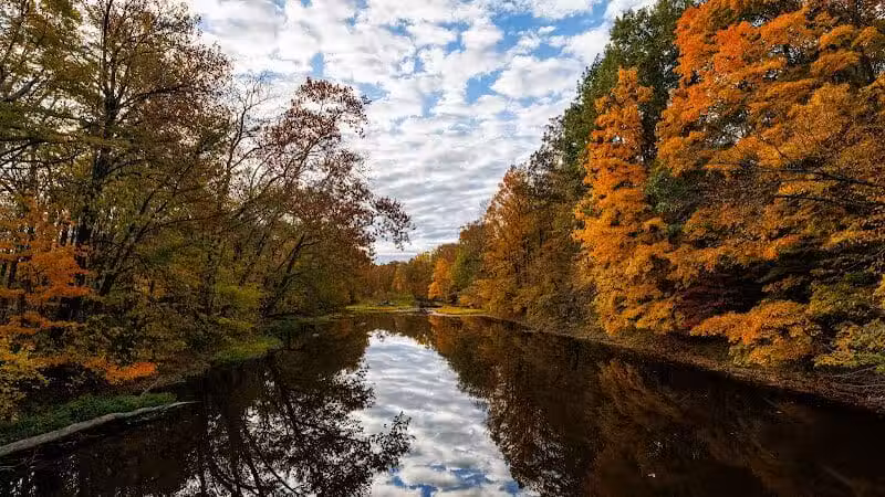 Maple Ridge Reserve - Covington, OH
