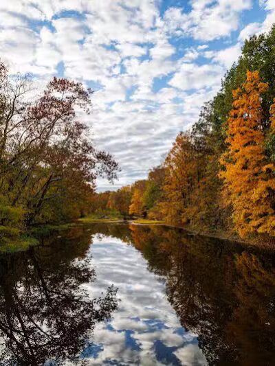 Maple Ridge Reserve - Covington, OH