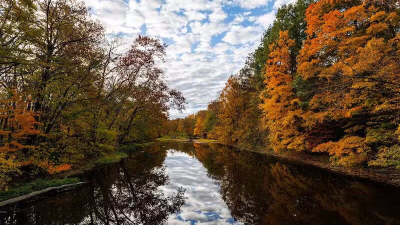 Maple Ridge Reserve - Covington, OH