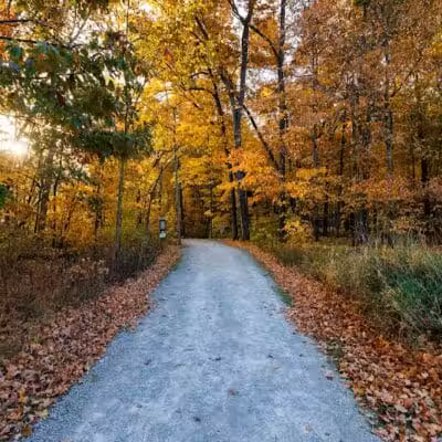 Maple Ridge Reserve - Covington, OH