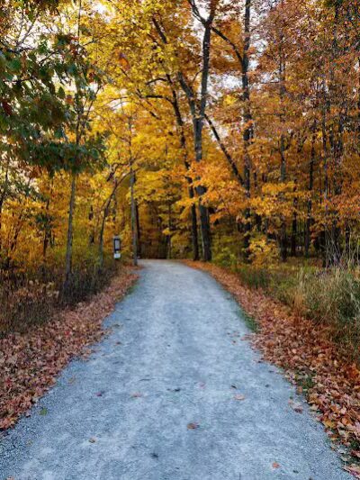 Maple Ridge Reserve - Covington, OH