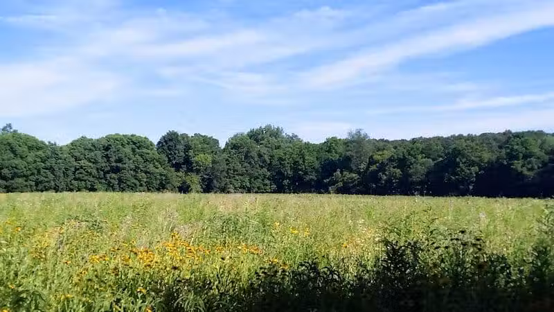 Maple Ridge Reserve - Covington, OH