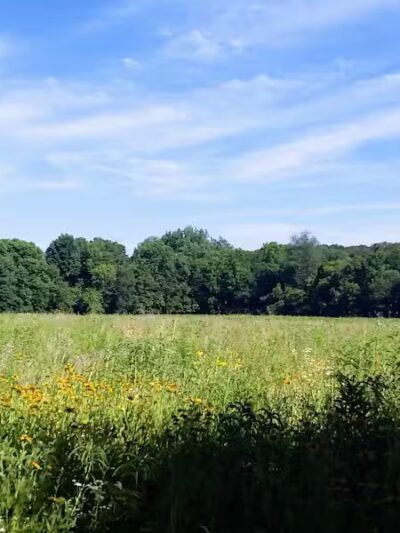 Maple Ridge Reserve - Covington, OH