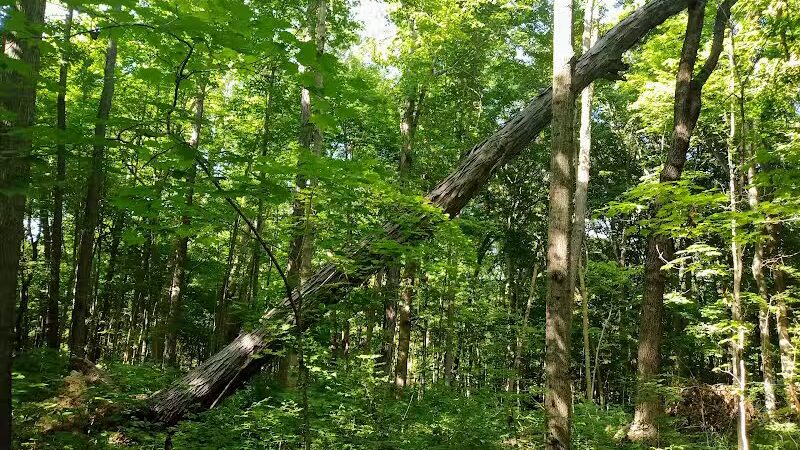 Maple Ridge Reserve - Covington, OH