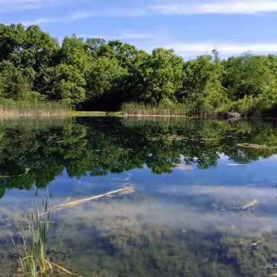 Maple Ridge Reserve - Covington, OH