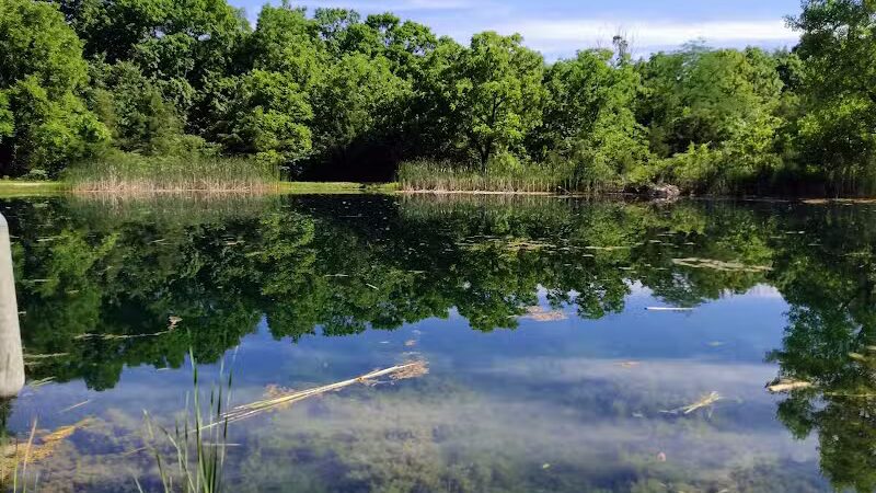 Maple Ridge Reserve - Covington, OH